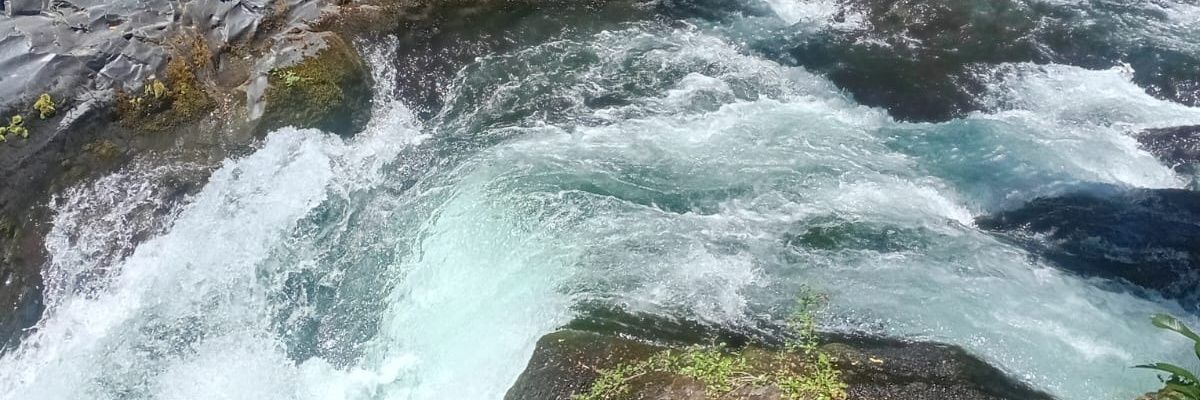 felicithax's profile banner image