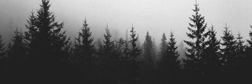 aquablue128's profile banner image