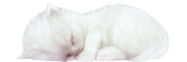 gece☆'s banner
