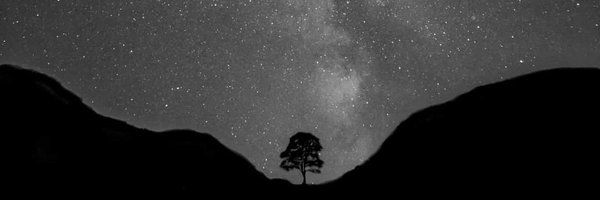 RaoRuthQ Profile Banner