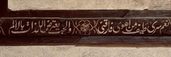 seifeid29 Profile Banner