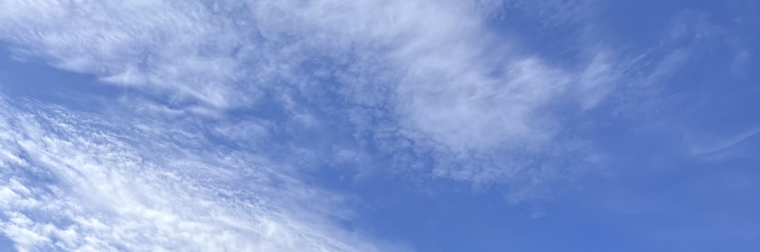 Beatriz banner