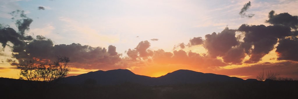 nany_ling's profile banner image