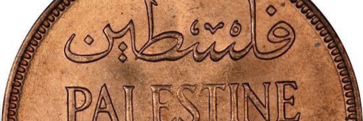 keineAhnung42🇵🇸🇹🇷🇧🇷🇿🇦🇮🇪🇳🇴🇪🇸 banner