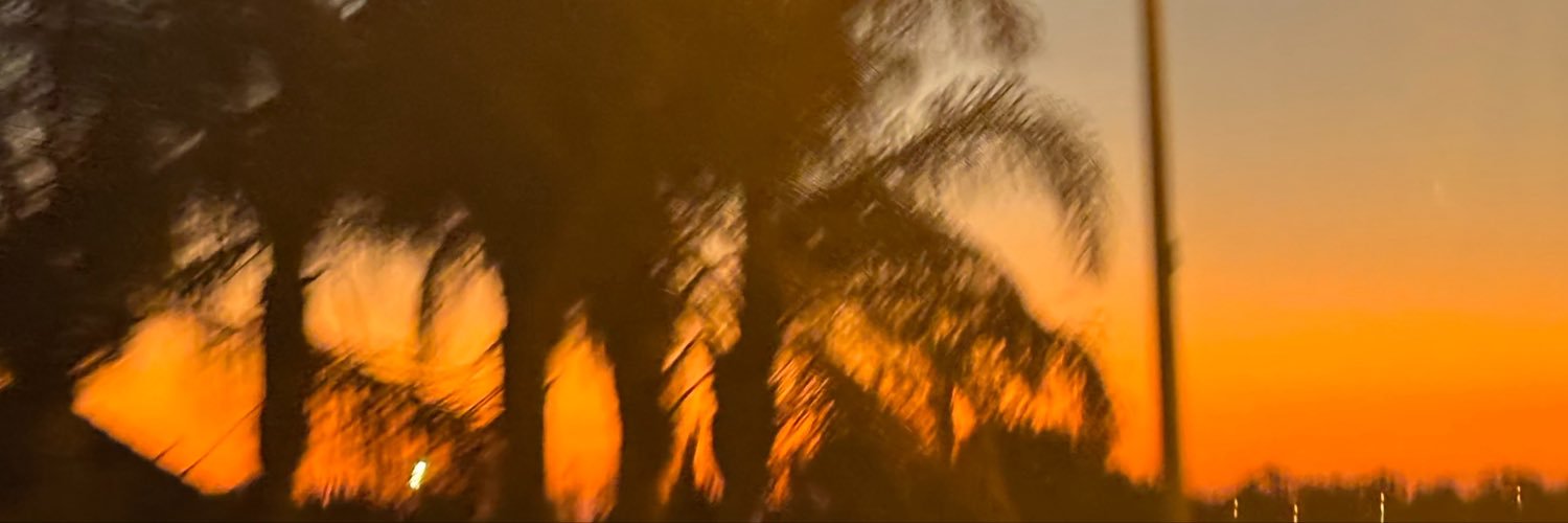 ArianaIzi's profile banner image