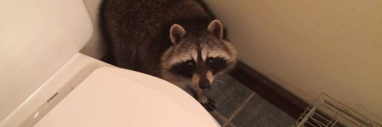 uswildlife's profile banner image