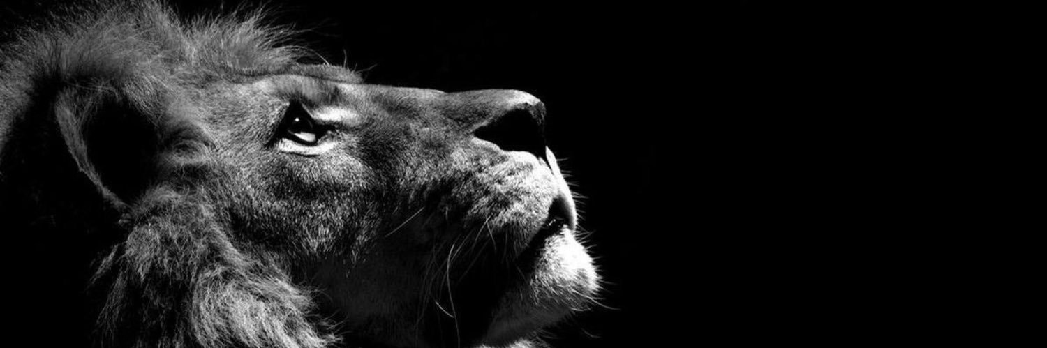 jaws1010's profile banner image