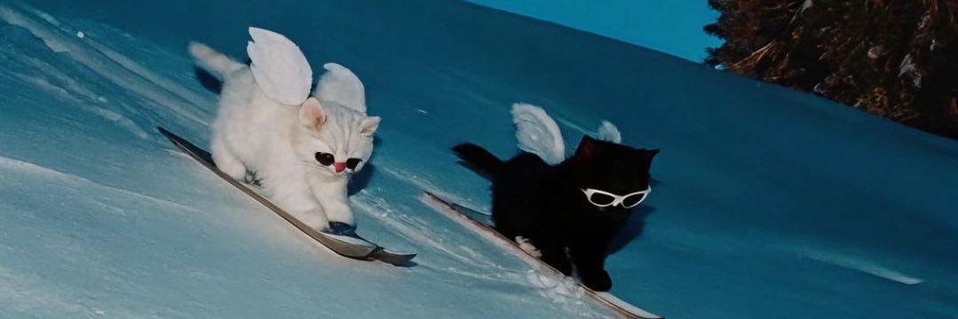 Alaameow's profile banner image