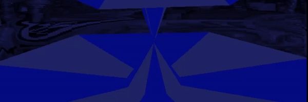 🐝Lilbiguyjr🐝 banner