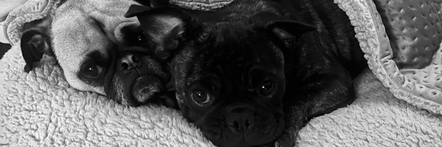 michellywelly_'s profile banner image