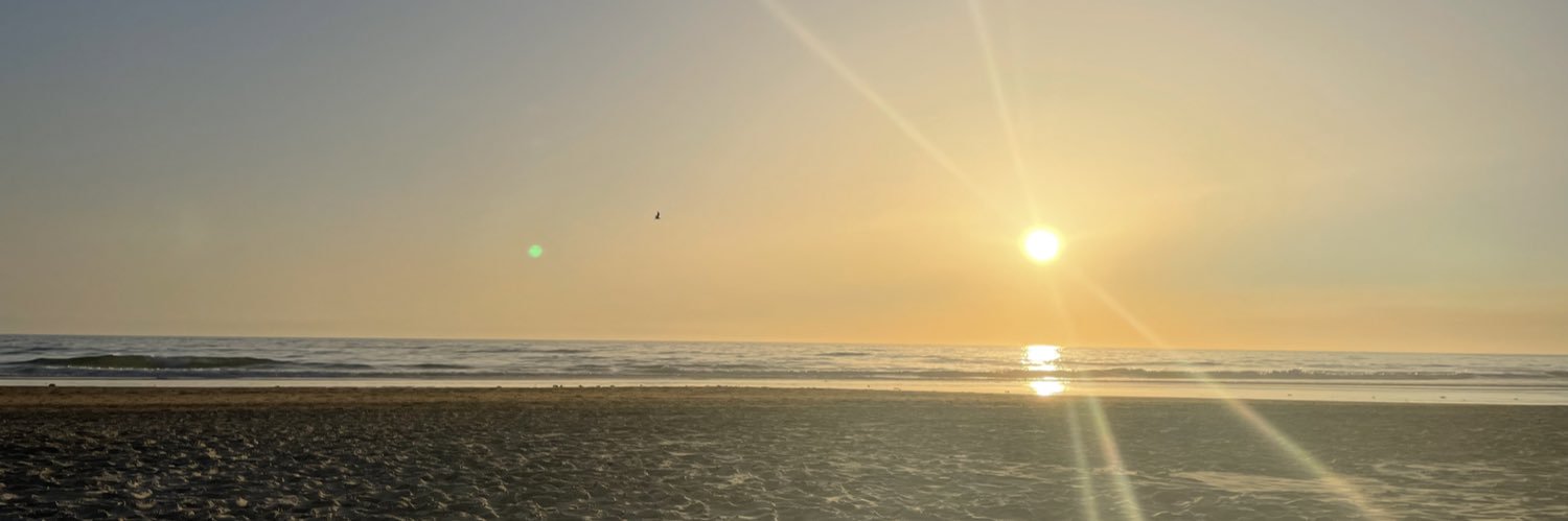 Mansanrod2's profile banner image