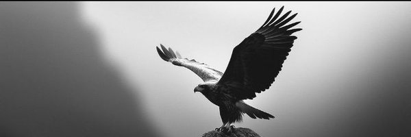 AU79executioner Profile Banner