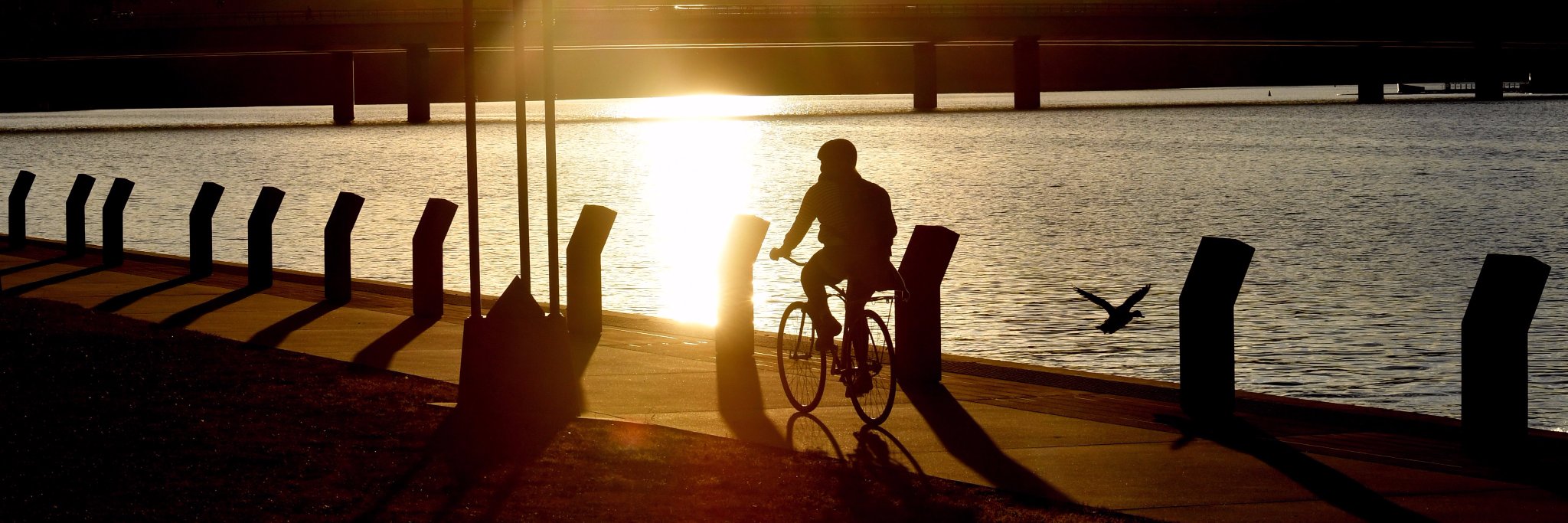 Canberra Times banner
