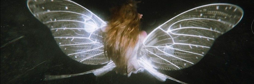 faeriesoiree000's profile banner image