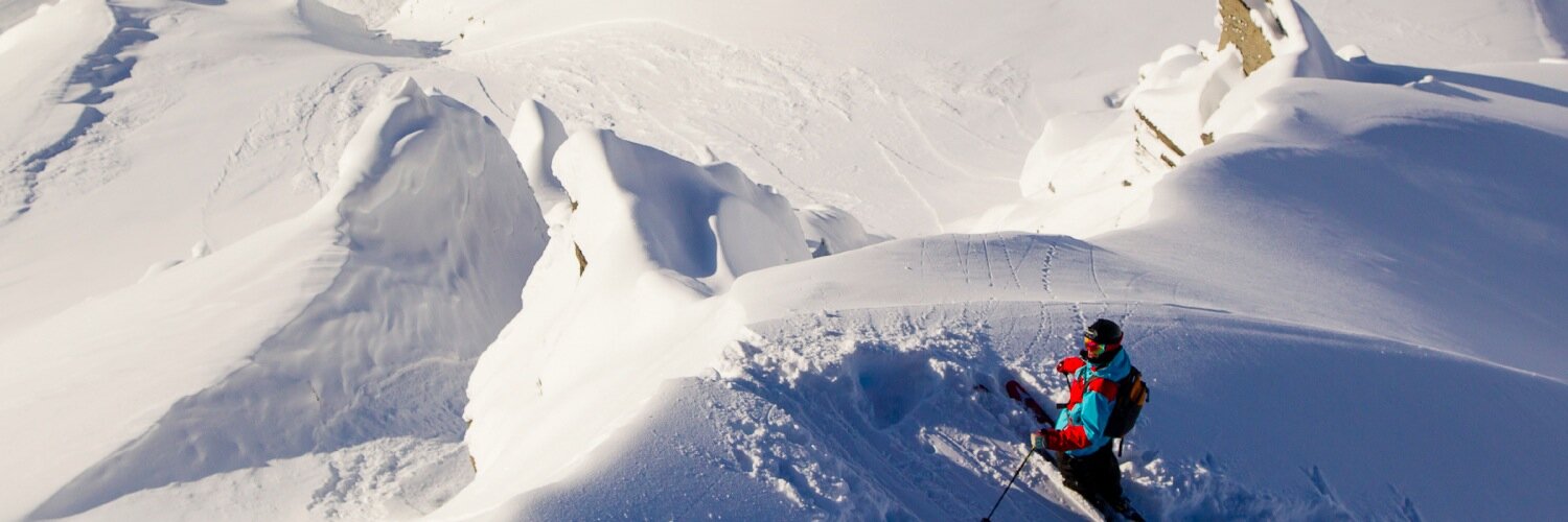 toddligare's profile banner image