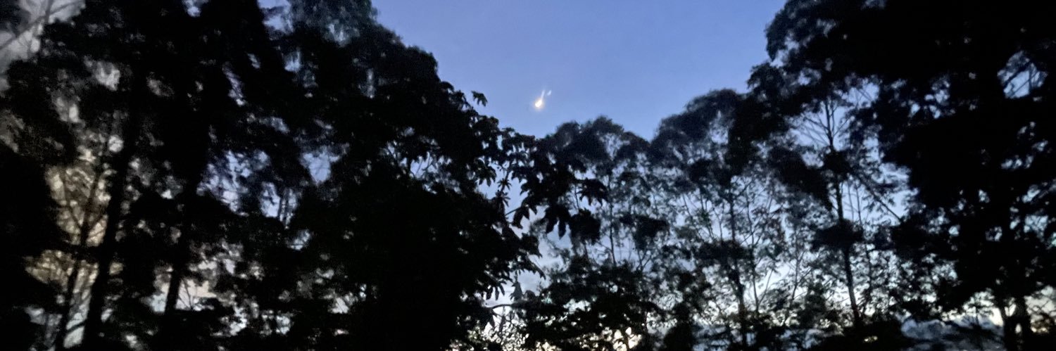 David Oliveira banner