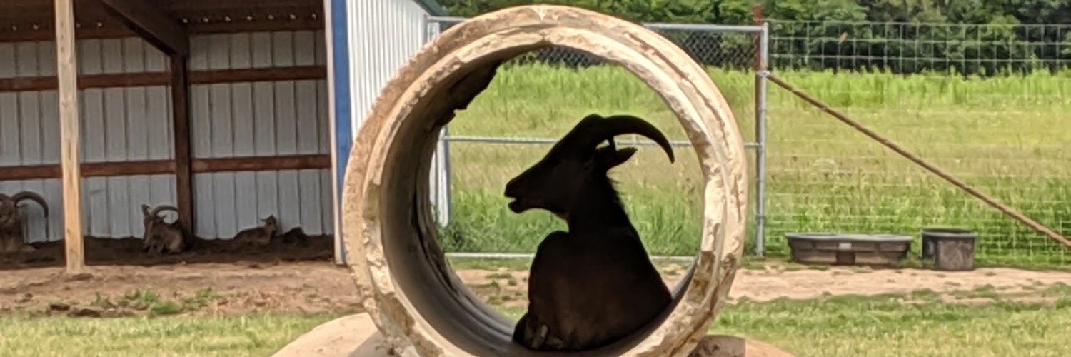 samipleese's profile banner image
