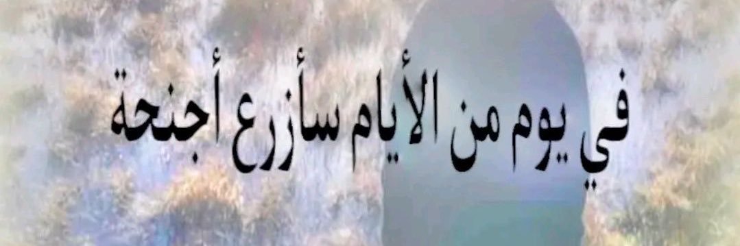 ꩜ banner