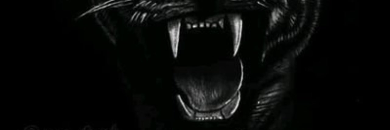 olagarretts's profile banner image