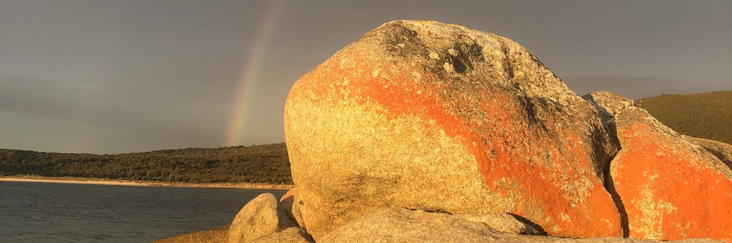 RebeTaylorMelb's profile banner image