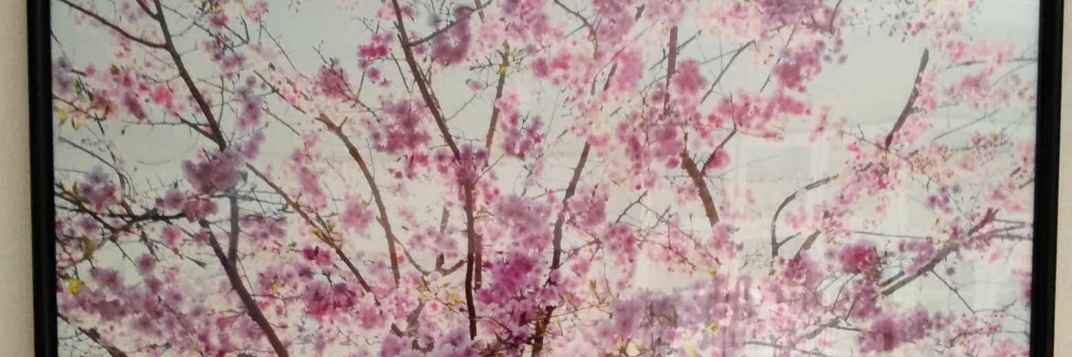 Bitmap555's profile banner image