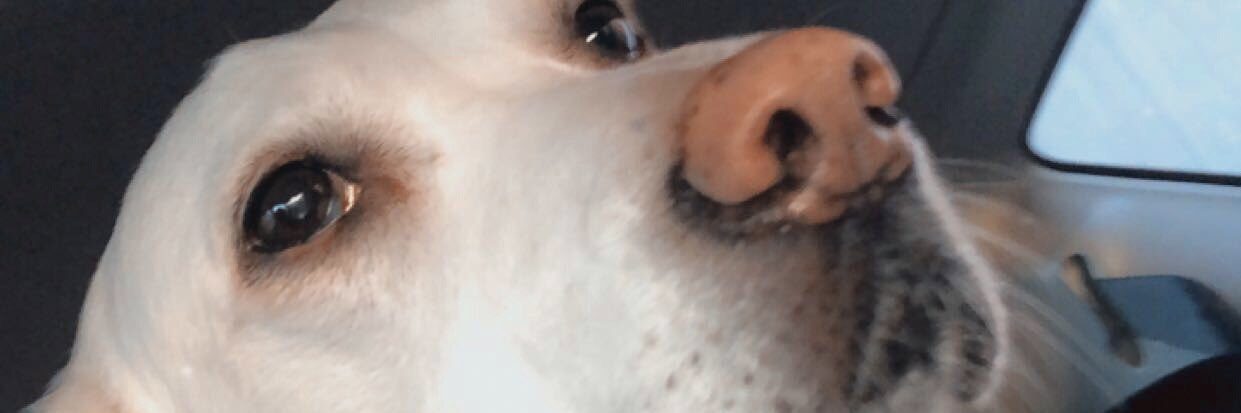 melxspencer's profile banner image
