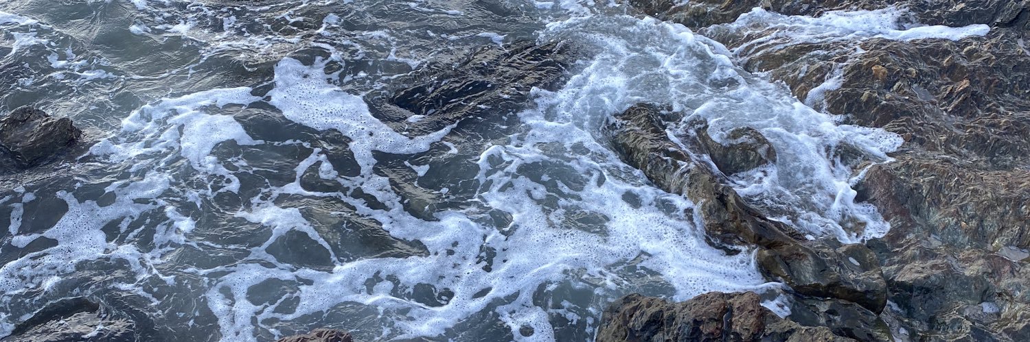ps98__'s profile banner image