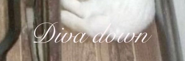 ilyaleka's profile banner image