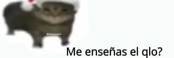 Bizardyondqqq1 Profile Banner