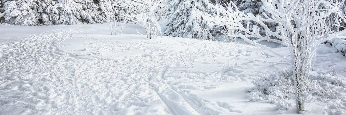 composerofshed's profile banner image