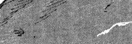 rg_77mr's profile banner image