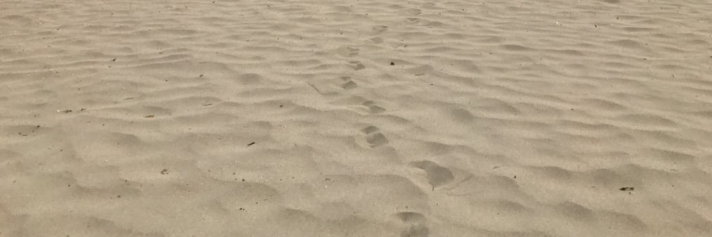 Goose_yota's profile banner image