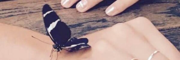 keyli_may's profile banner image