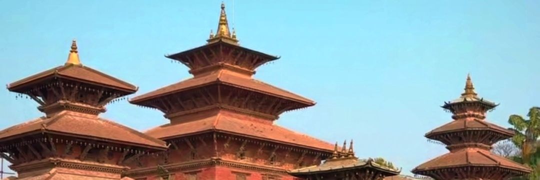 टिमुर banner