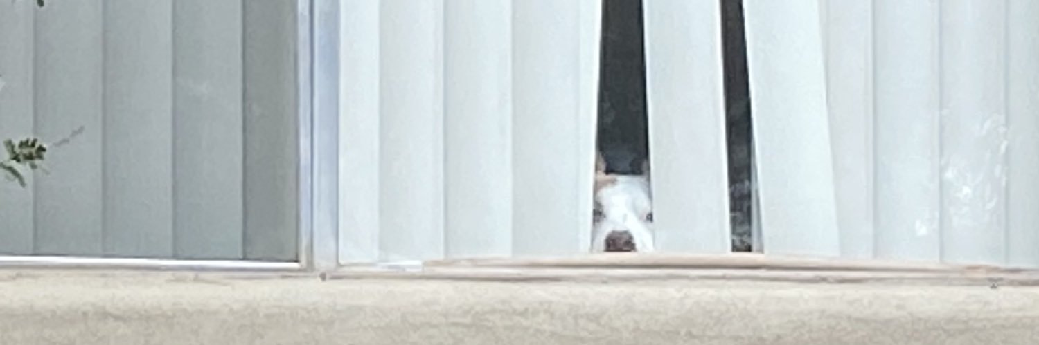 BigMikeMojo's profile banner image