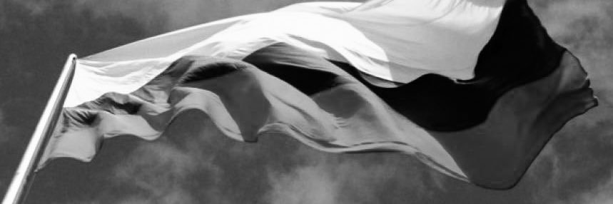 Un Godo 🎗️ banner