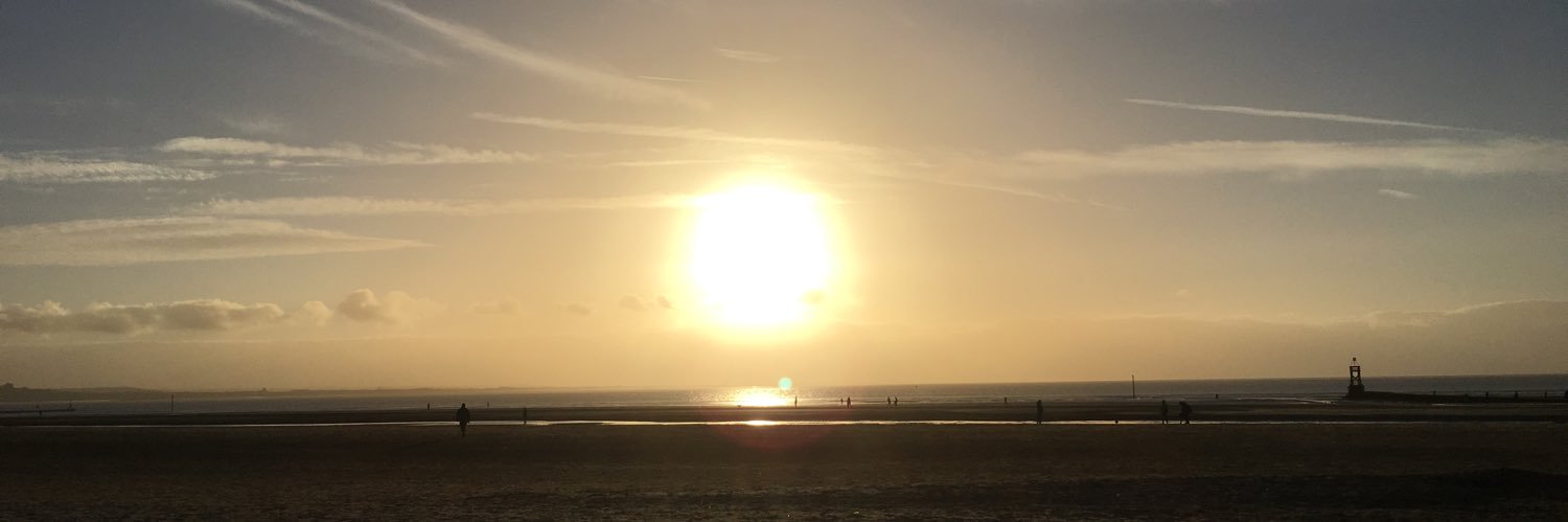 Chell da Silva Willis banner