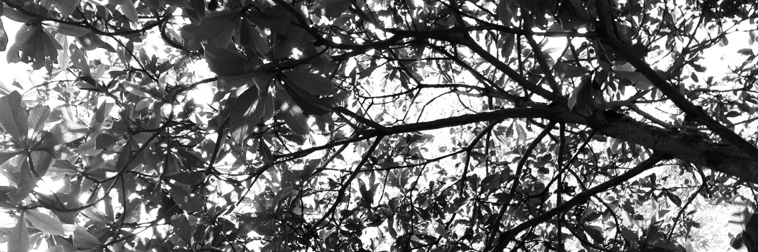 gencadena's profile banner image