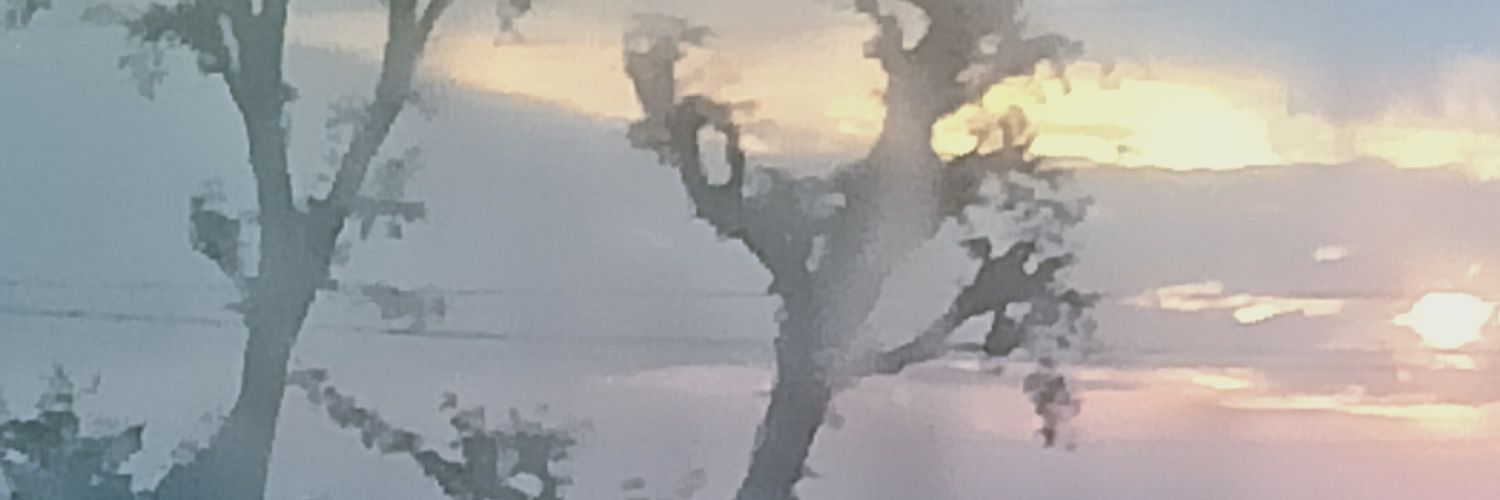 Aaravplayshard's profile banner image