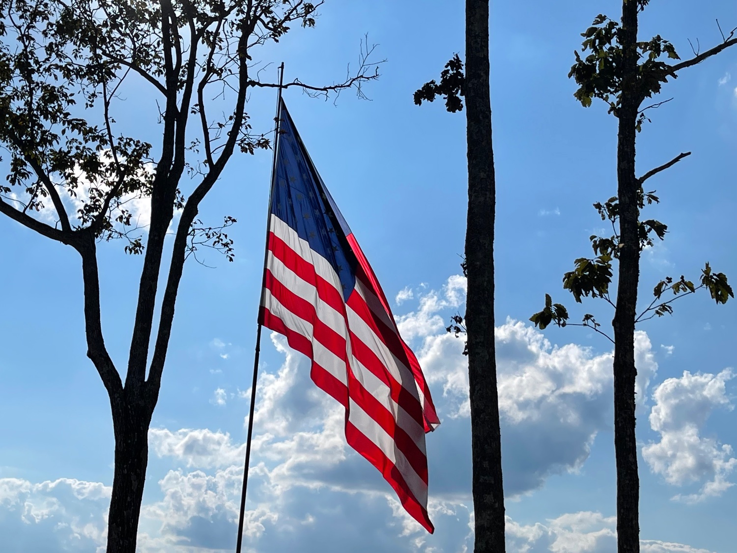 jessi ~ evil grandma 🇺🇸's banner
