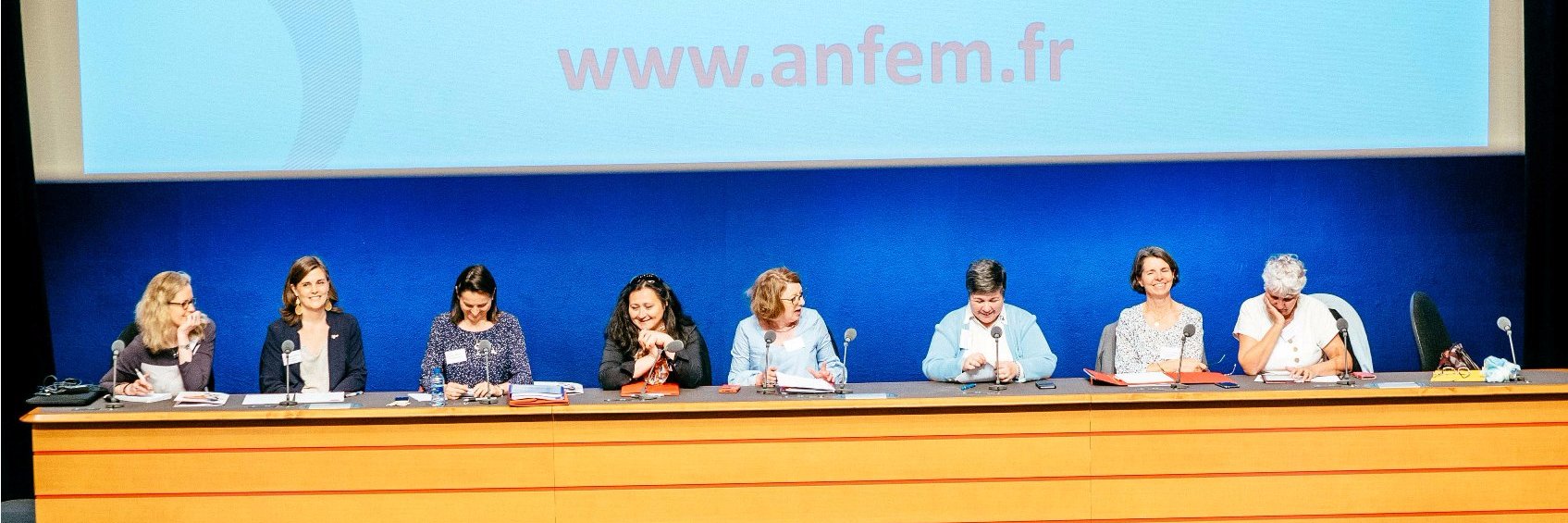 ANFEM banner