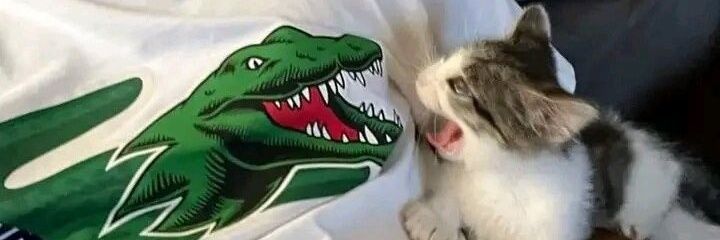 moon in the blues | free Palestine 🔻🇵🇸 banner