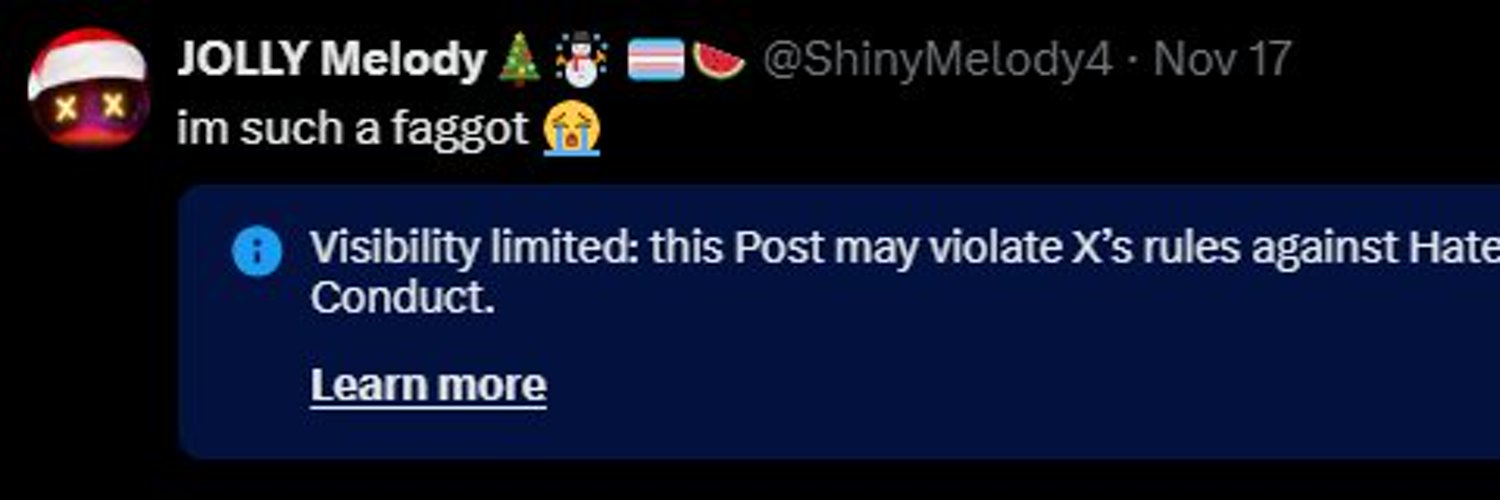 ShinyMelodyy's profile banner image