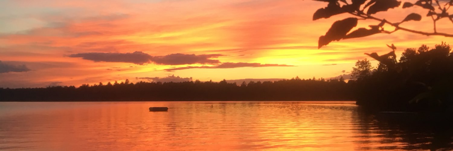 MargoRedlinger's profile banner image