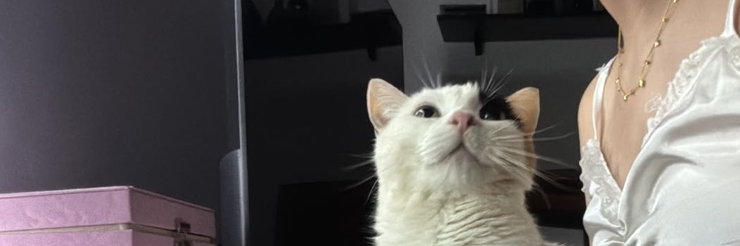 dadacanceriana's profile banner image