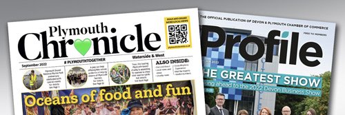 Cornerstone Vision banner