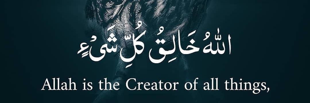 aebnayali's profile banner image