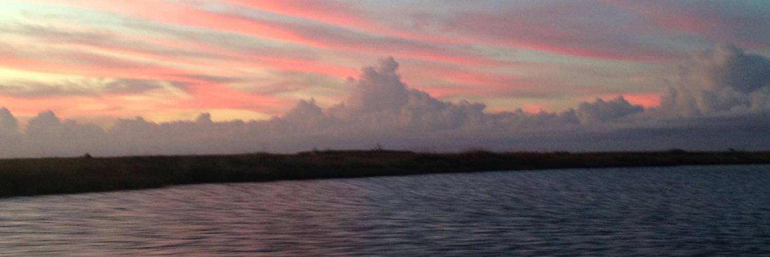 FeathersMD's profile banner image