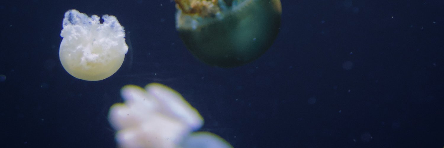 daovdao's profile banner image