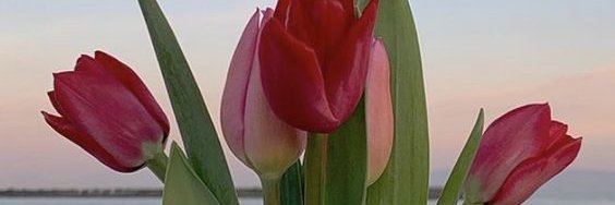 Azpeitia_'s profile banner image